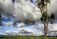 同步带同步带轮选型,同步带轮用途