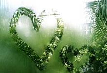 齿轮齿条机构哪个是主动件,齿轮齿条机构可以实现的相互转换