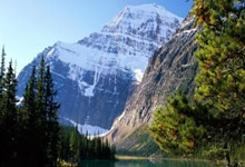 齿轮齿条机构哪个是主动件,齿轮齿条机构可以实现的相互转换