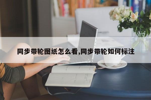 同步带轮图纸怎么看,同步带轮如何标注